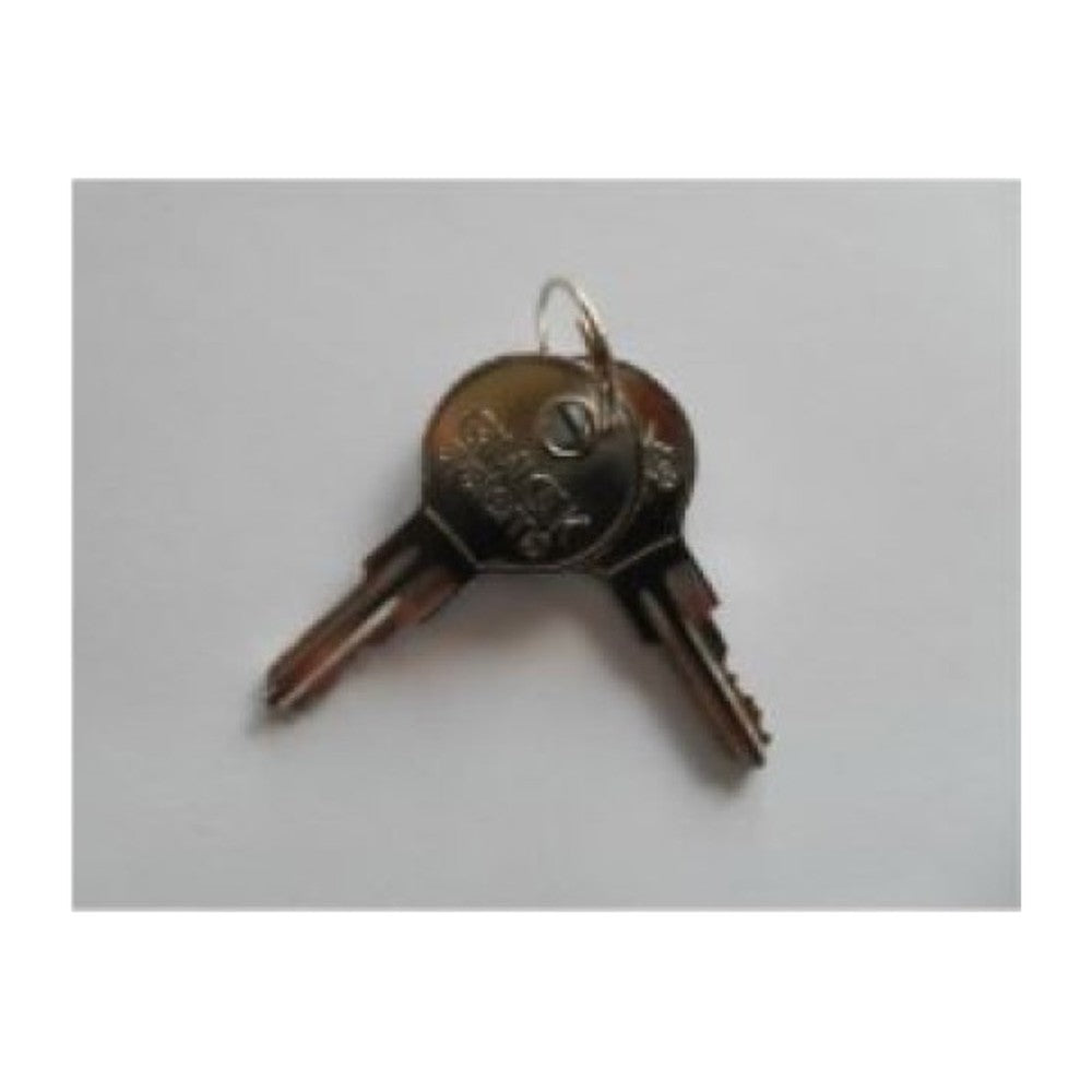 Gent S4-34499 Keys for Key Switch Interface & MCP